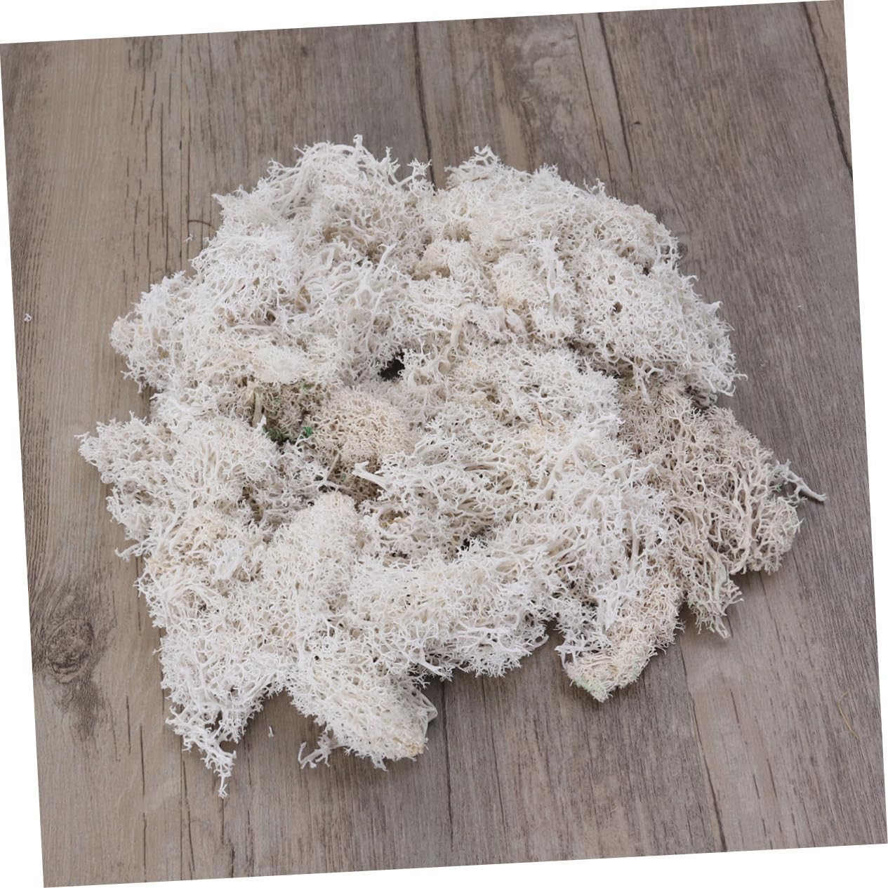 GLSTOY 3pcs Preserved Moss DIY Accessory 50g Moss Rug for Wedding Party for Home