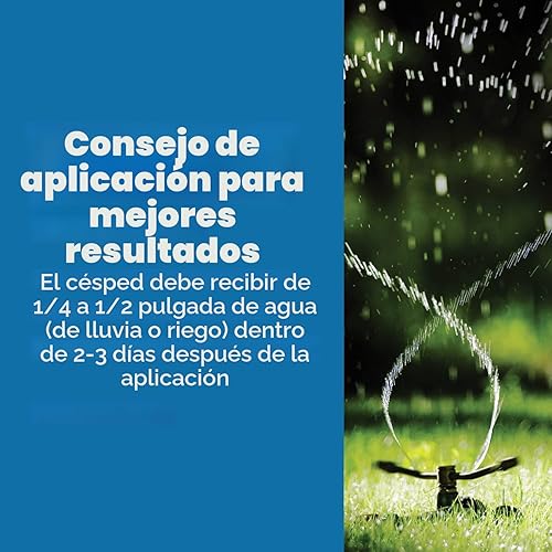 Miniatura 8 de Scotts Turf Builder fertilizante para césped - Con repelente para crabgrass HALTS