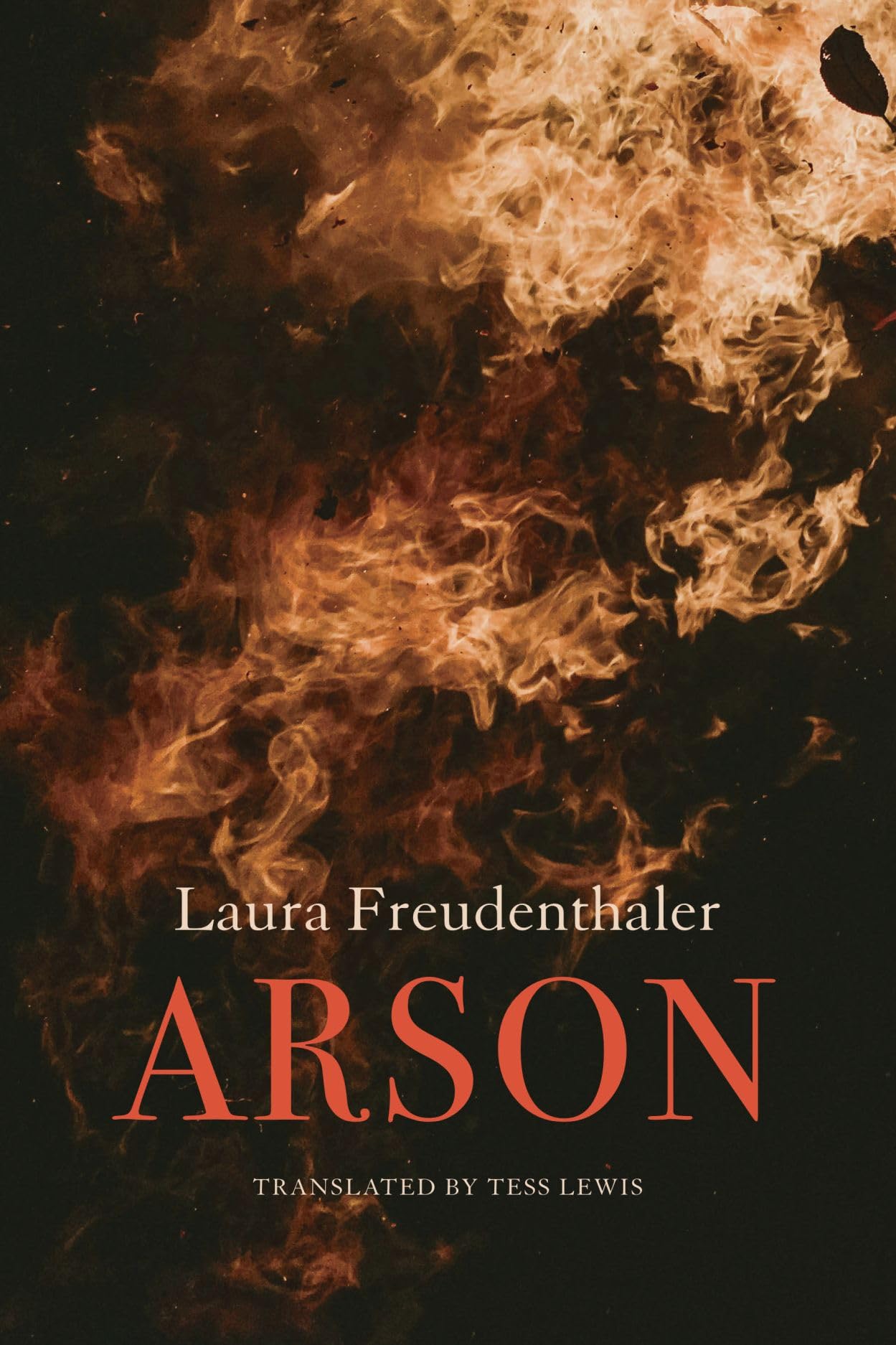Arson by Laura Freudenthaler (Hardback Book)