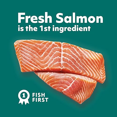 Miniatura 8 de Optimeal Alimento seco para gatos de interior - Receta saludable de pollo y arroz integral para gatos adultos - Orgullosamente ucraniano