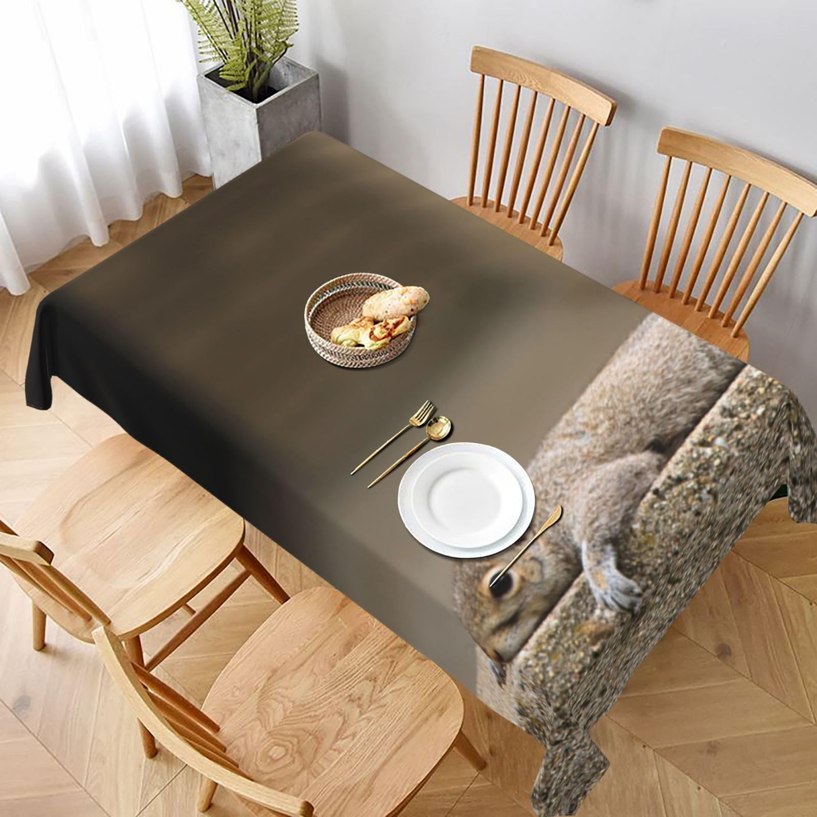 BNVSADC Squirrel Just Laying Printed Rectangle Tablecloth 228x152 CM, Water Resistant Polyester Table Cloth Decorative Fabric Table Covers for Kitchen Dining Table Parties Camping