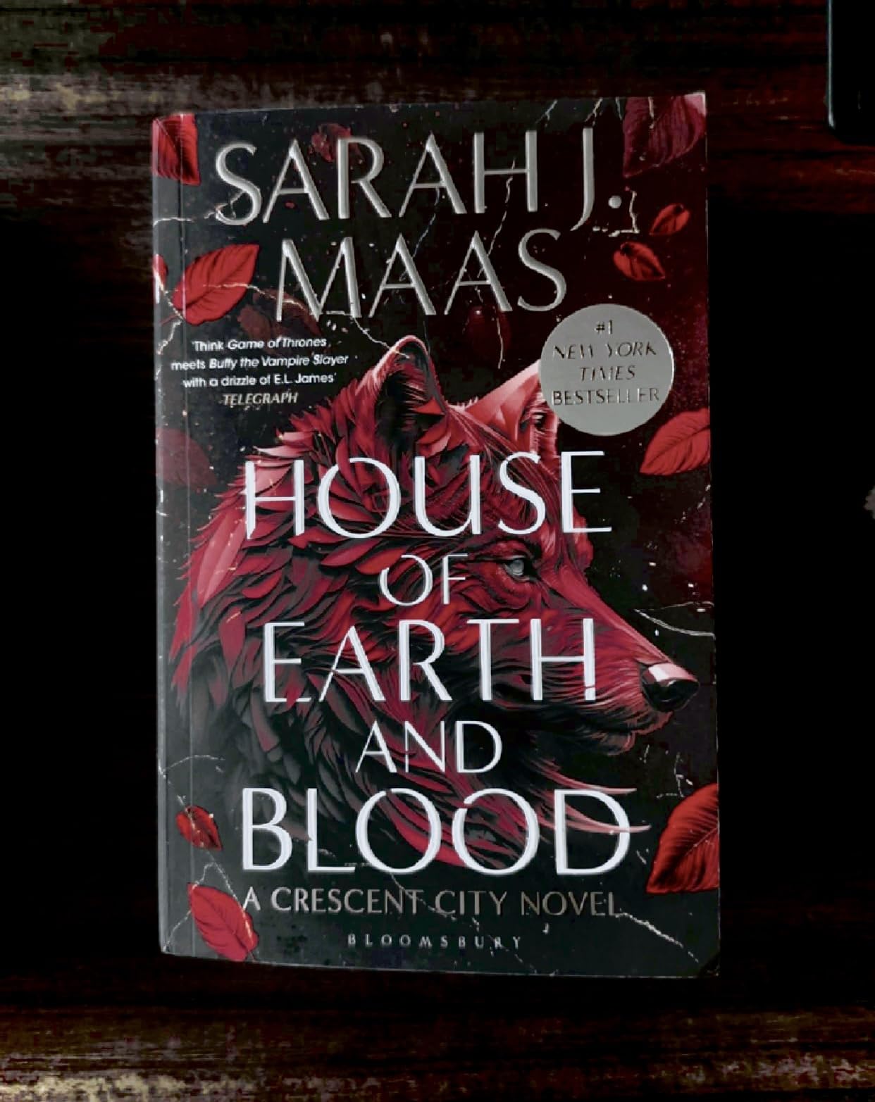 Buy House of Earth and Blood 1 (Crescent City) Book
