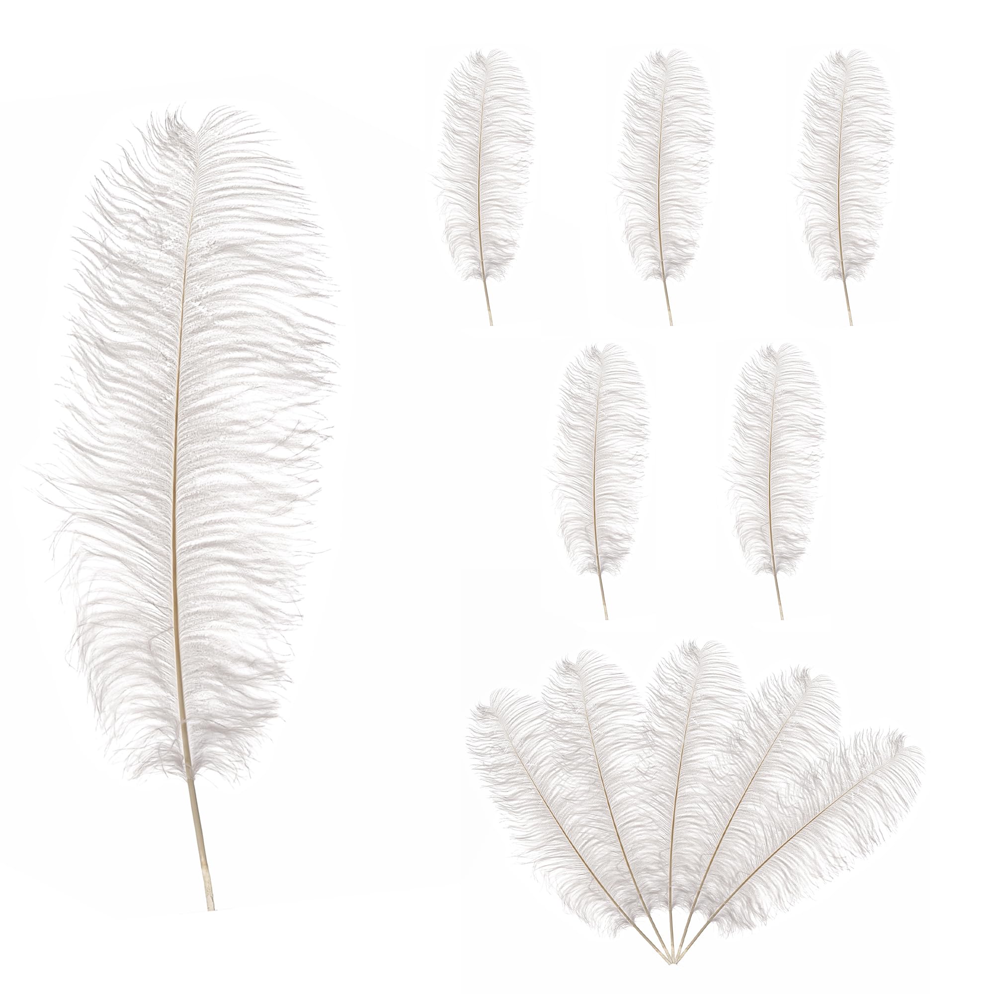 Trimming Shop 19-23inch(50-60cm) White Ostrich Feathers Plume for Wedding Table Centrepieces Home Decoration Decorating Costumes Headdresses Showgirl Spadones, Pack of 5