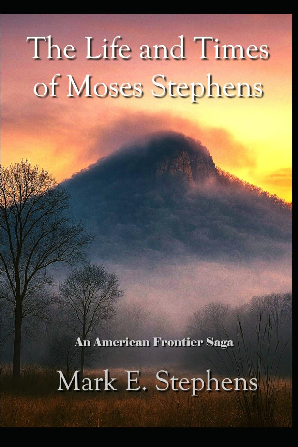 The Life and Times of Moses Stephens: An American Frontier Saga
