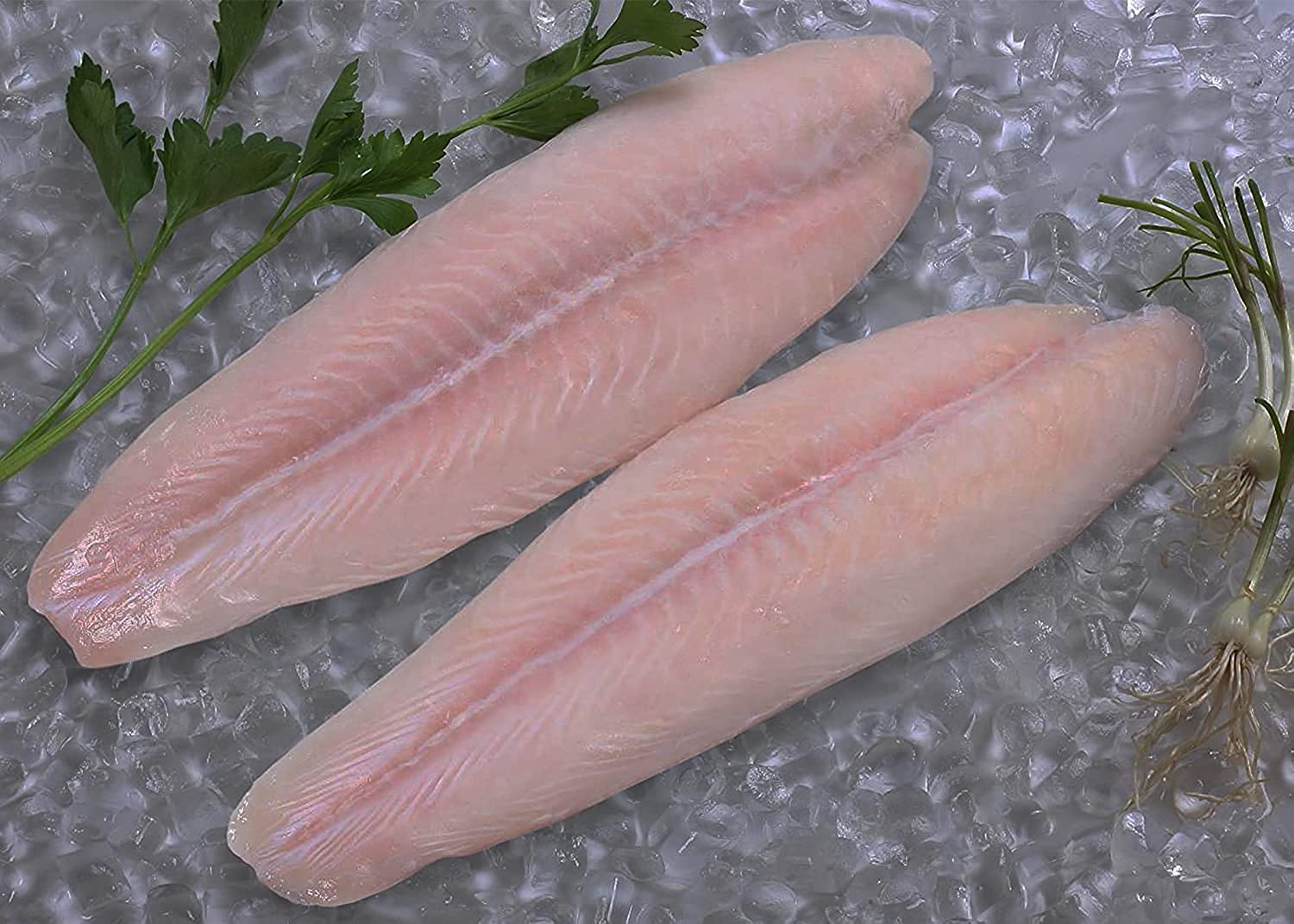 FROZEN PANGASIUS FISH FILLET 12.5 KG