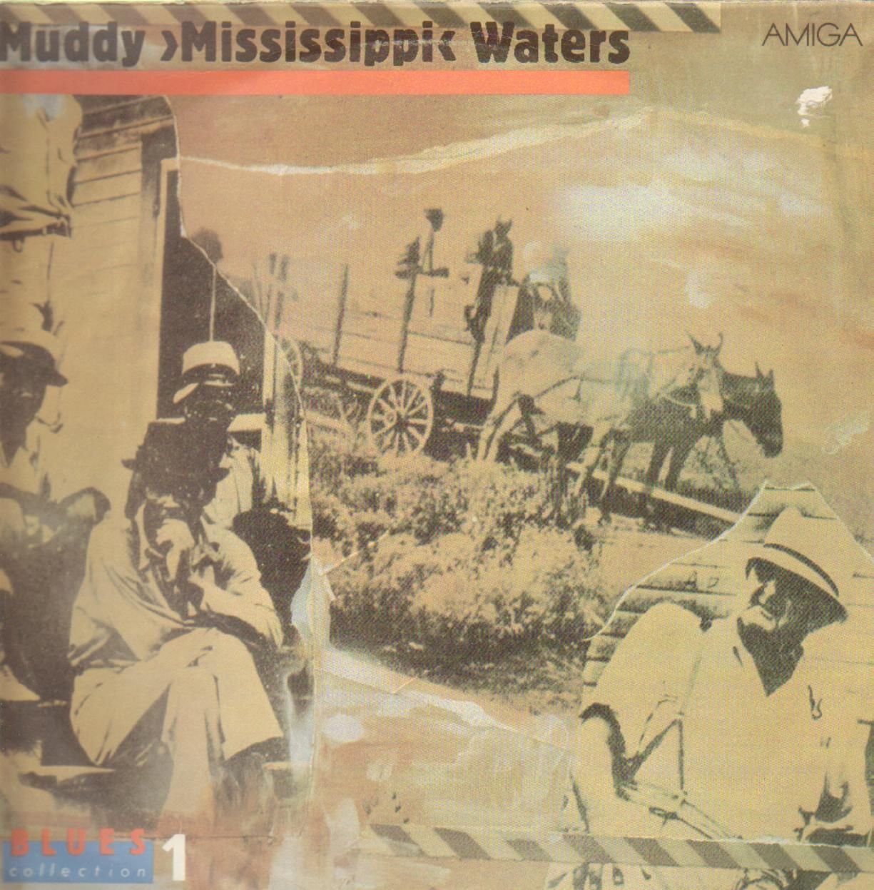 Muddy Waters: Muddy 