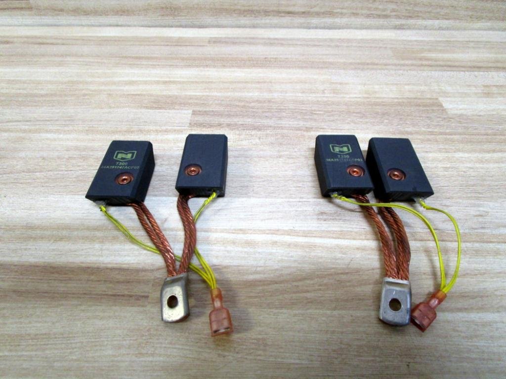 T30036A291747ACP03 Carbon Brush (Pack of 2)