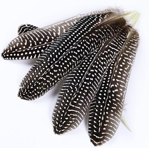 Miniatura 2 de HYCCRAFT Plumas naturales de gallina de Guinea para manualidades, atrapa sueños, boda, decoración del hogar, plumas sueltas en blanco y negro,