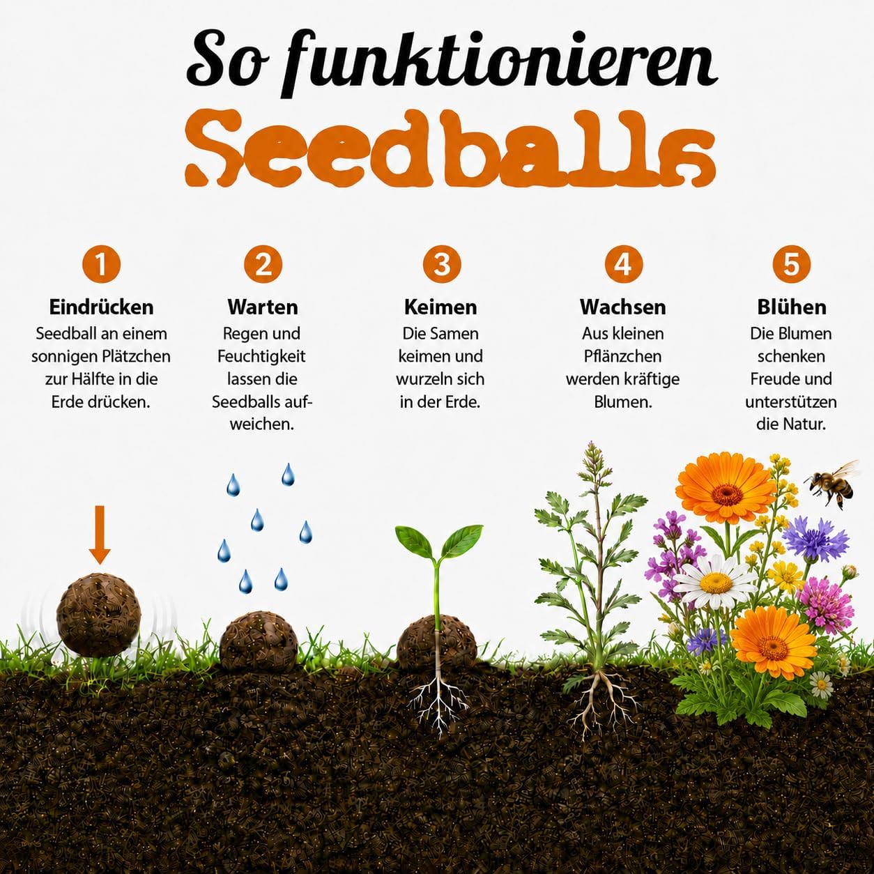 Seedball Bee State Banquet Pack of 12 - Seed Bombs with Bee-Friendly Wildflower Seeds | Flower Seeds Made in Germany | Sustainable from the Life Aid Workshop Bee State Banquet - Pack of 12