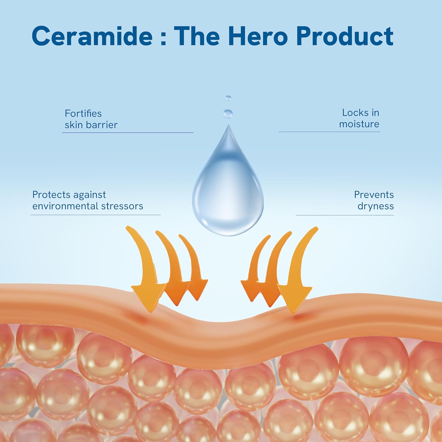 Be Bodywise 0.5% Ceramides Lotion 200ml | For Dull & Dry Skin | Strengthens Skin Barrier, Prevents Dryness & Locks In Moisture | With 3 Essential Ceramides, Hyaluronic Acid & Turmeric Extract Be Bodywise 0.5% Ceramides Lotion 200ml | For Dull & Dry Skin | Strengthens Skin Barrier, Prevents Dryness & Locks In Moisture | With 3 Essential Ceramides, Hyaluronic Acid & Turmeric Extract