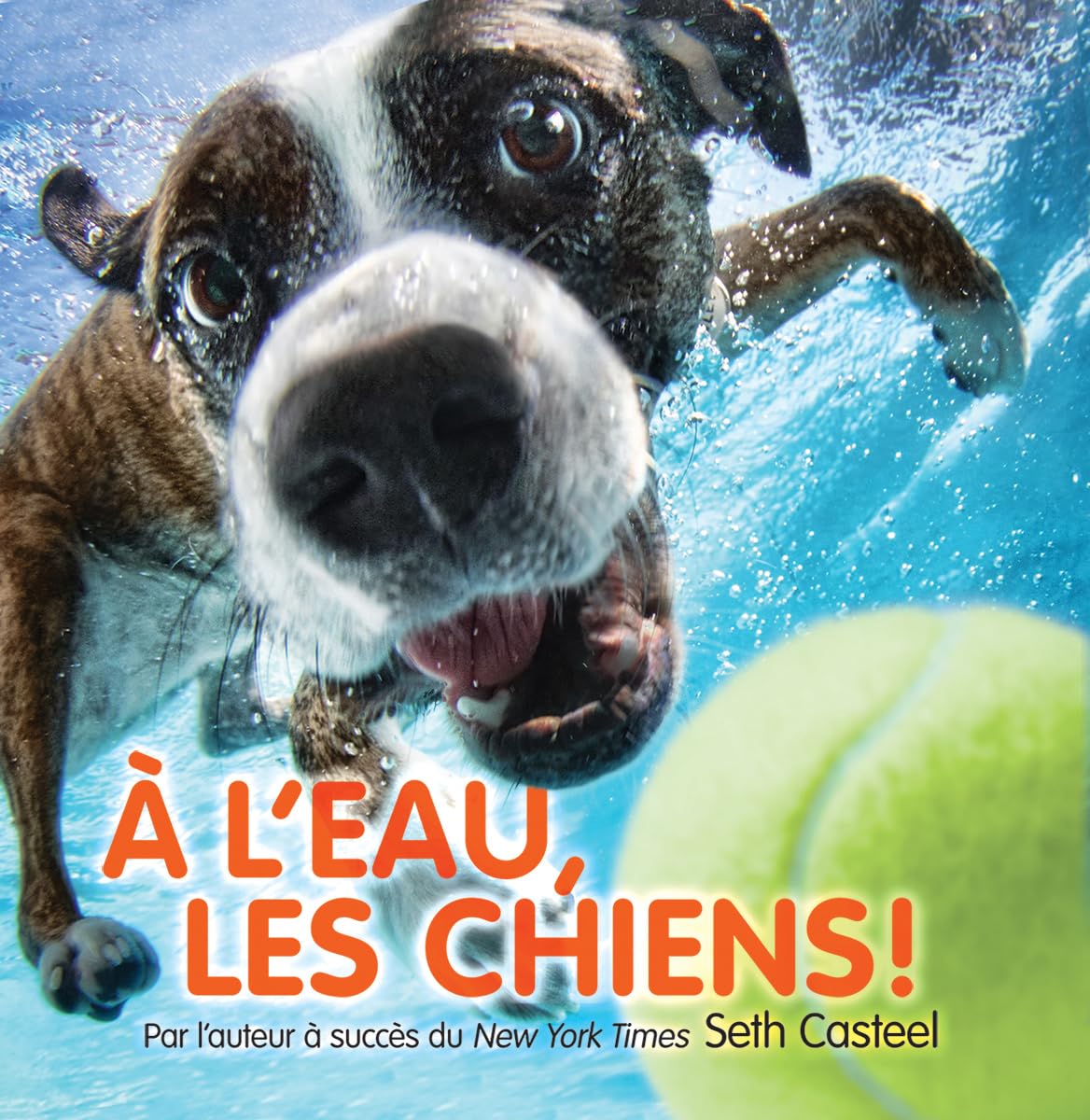 À l'eau, les chiens! Casteel, Seth