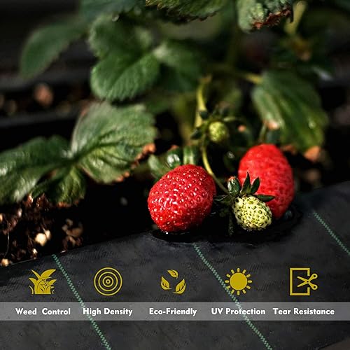 Miniatura 3 de Tela de barrera de malezas de 3 x 250 pies, resistente, tela de barrera de malezas de jardín de alta permeabilidad, tela de bloqueo de malezas