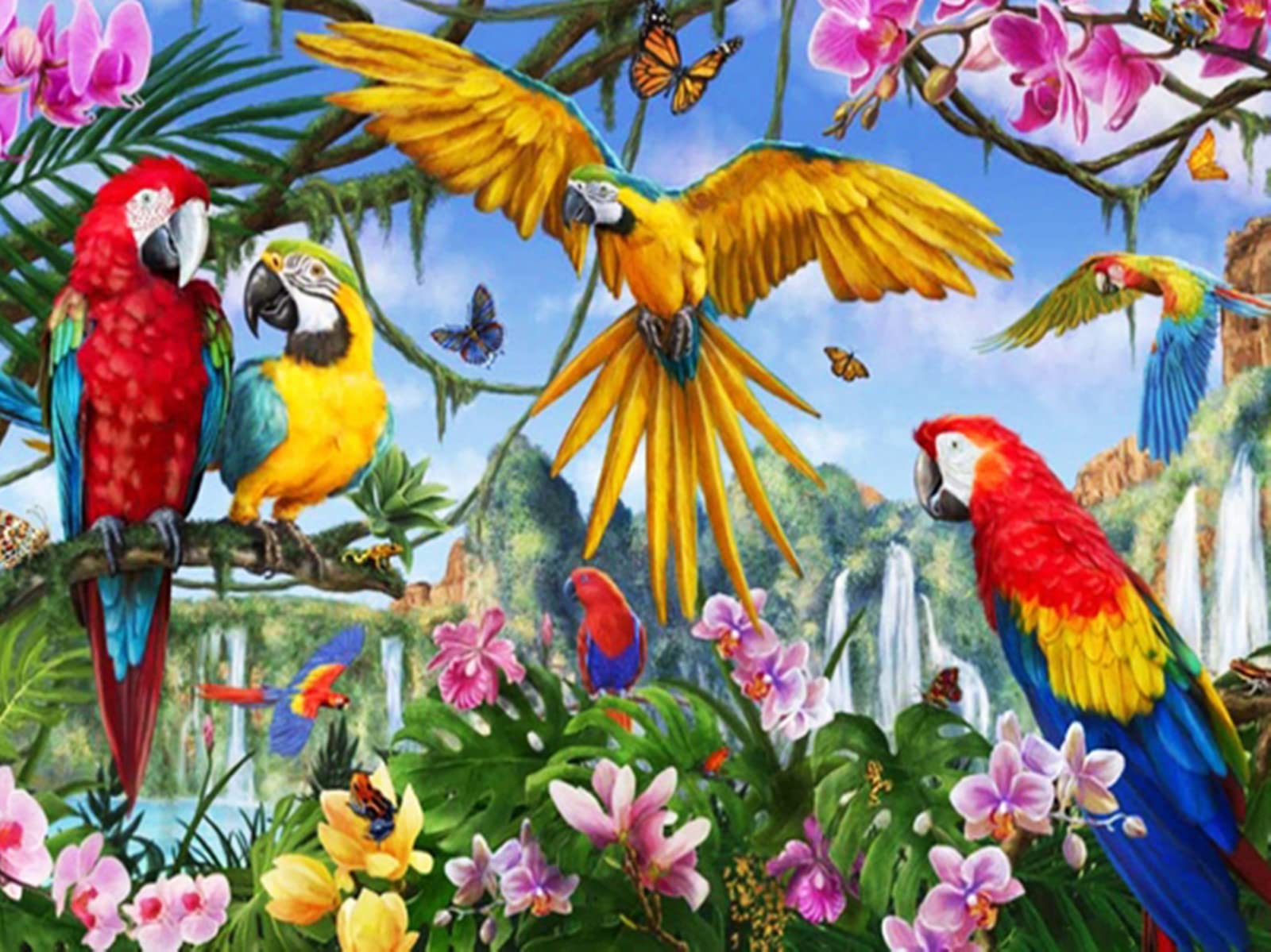 Puzzle animal en bois 4000 pieces oiseau grand format pour adulte