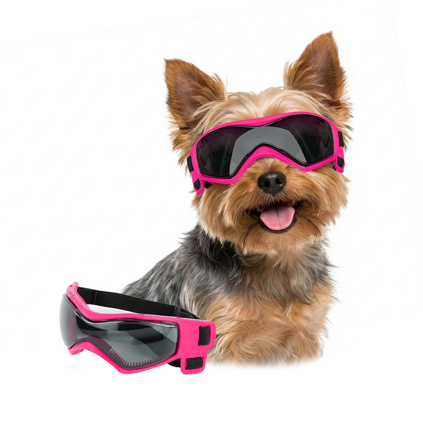 Lunettes pour petit chien idéales pour la promenade en plein air