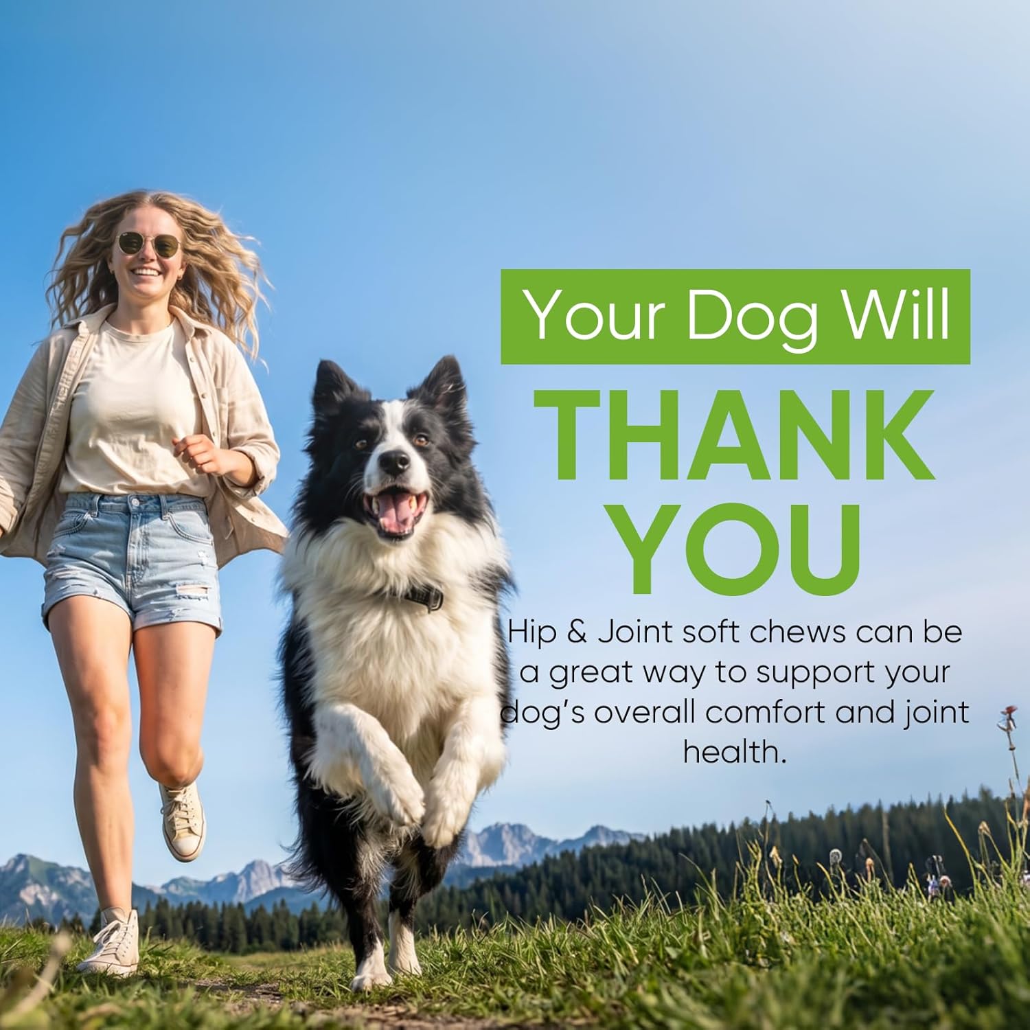 Hip and Joint Supplement for Dogs,Joint Support Supplement,with Glucosamine, Chondroitin, MSM, Promoting Joint Health and Mobility,Plasma Powered Chews for Joint Health,For All Breeds and Sizes 200pcs
