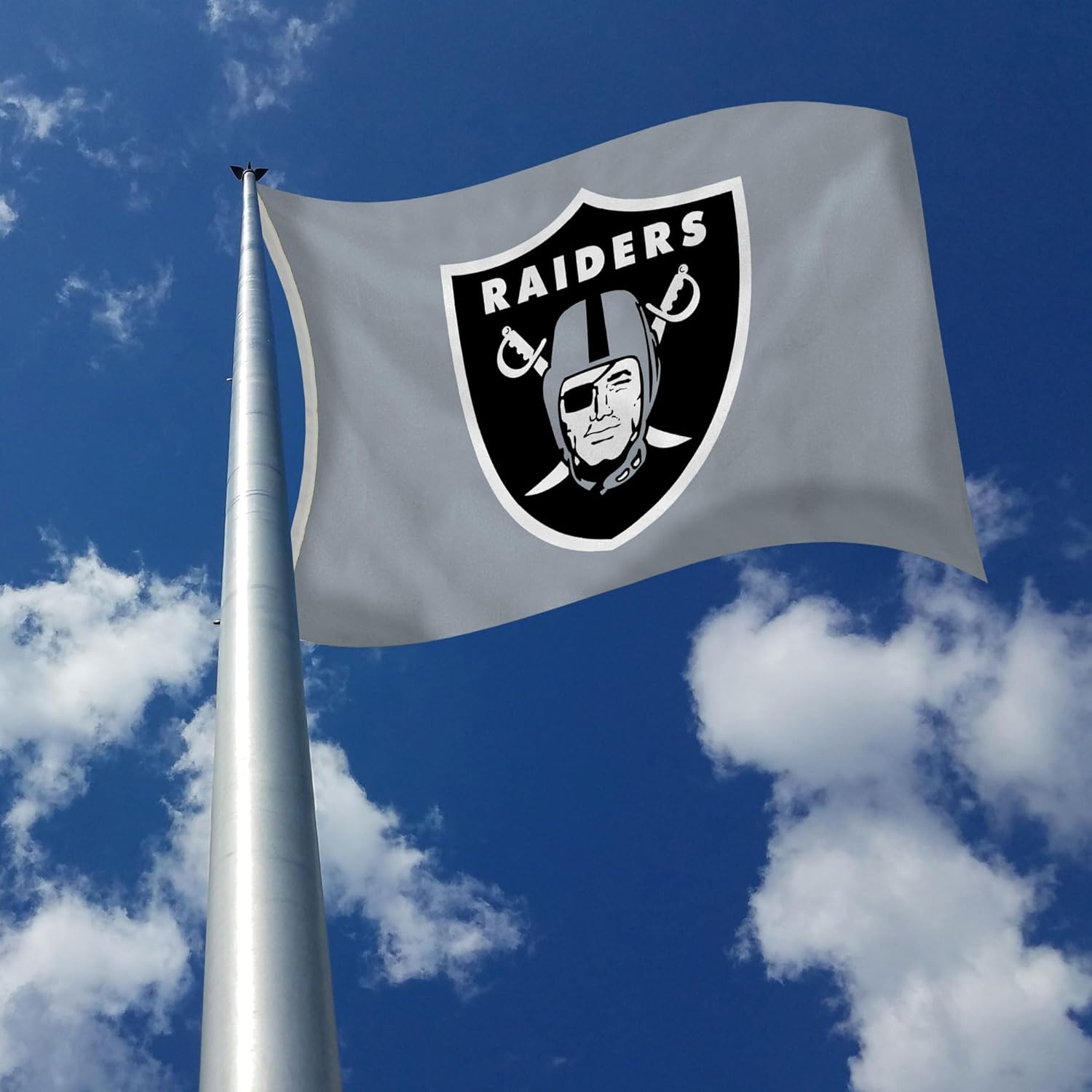 Rico Industries NFL Football Las Vegas Raiders Gray Shield 3' x 5' Banner Flag Single Sided - Indoor or Outdoor - Home Décor