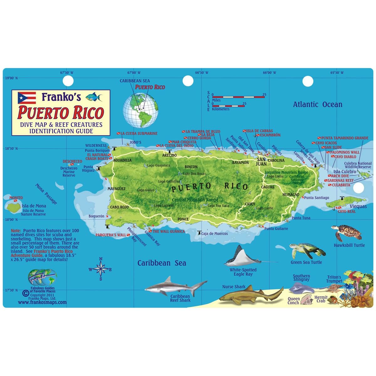 Franko's Map Puerto Rico Fish & Reef Creatures Identification Guide - Fish ID