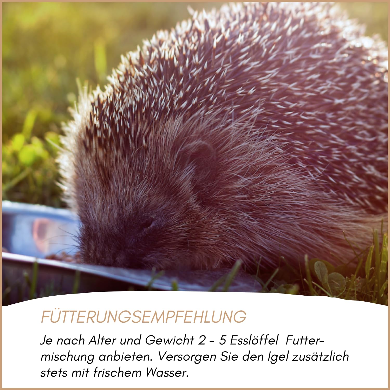 Supravit Igelfutter mit Insekten 5 kg - Speziell auf Igel abgestimmt mit Insekten, Mehlwürmer, Früchten & Gemüse - Hochwertiges Futter für Igel zum Überwintern