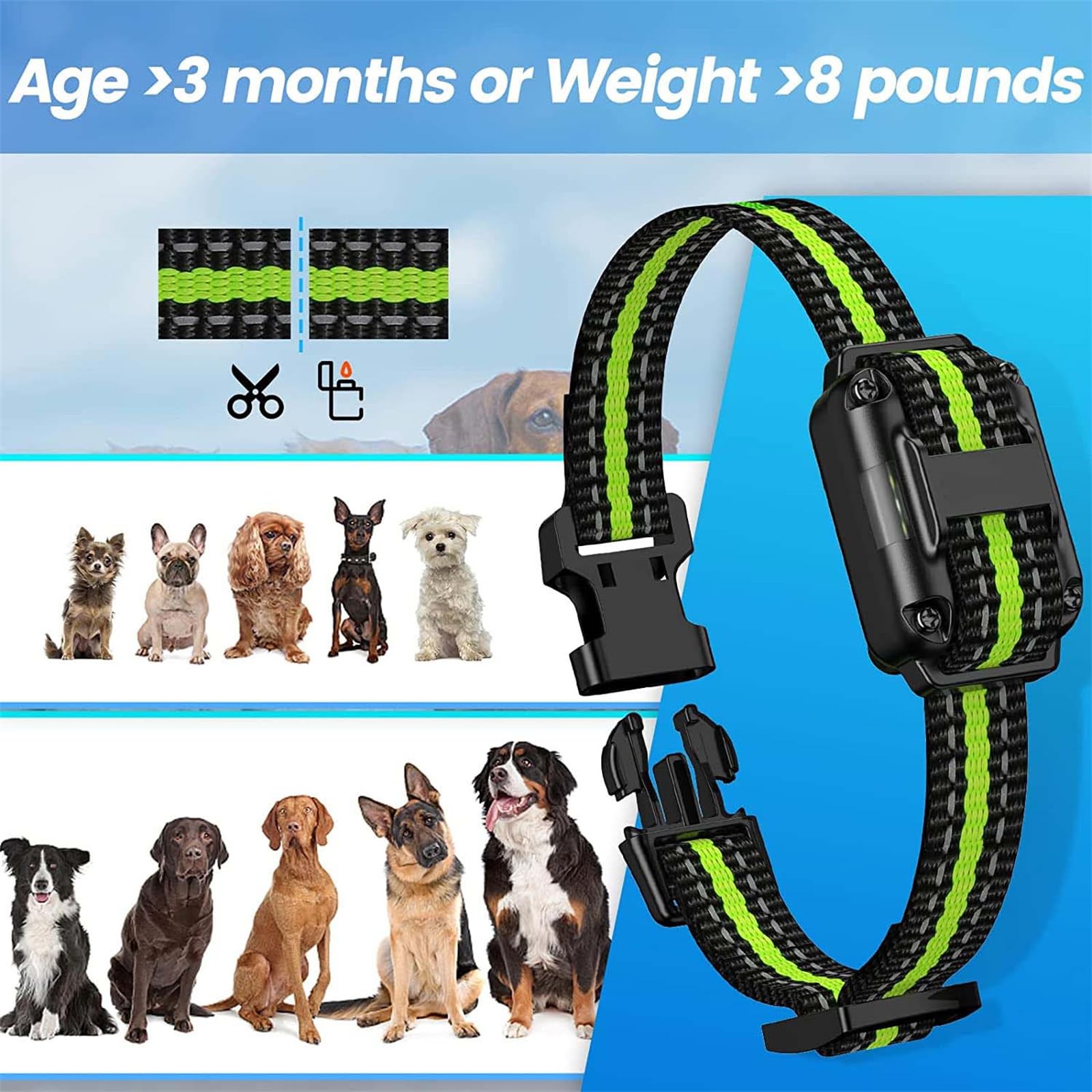Hundehalsband zur Verhaltenskorrektur, wasserdichtes Hundespielzeughalsband, Intelligenzspielzeug für Hunde, verstellbar, für alle Hunderassen (4y0)