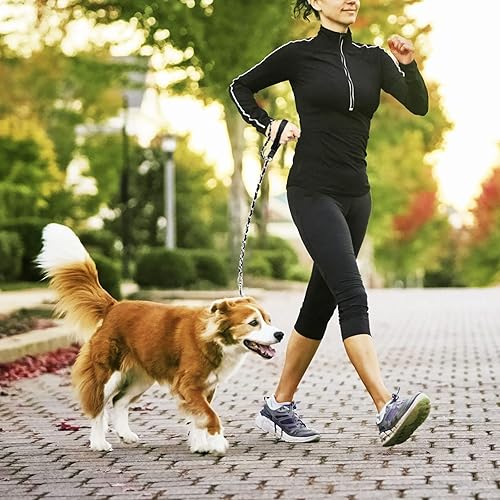 Miniatura 7 de Correa de cadena para perro a prueba de mordidas, cadena de metal y cuerda de nailon para perros con mango acolchado, correas resistentes para