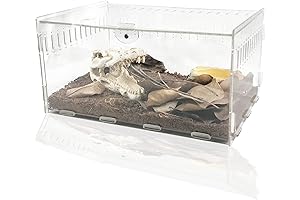 Transparent Acrylic Reptile Cage: The Perfect Hermit Crab Oasis