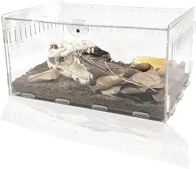 Gaiola Magnética de Acrílico para Répteis, Terrário Transparente 360°, Adequado para Aranhas, Lagartos, Caranguejos Eremitas, Cobras, Insetos