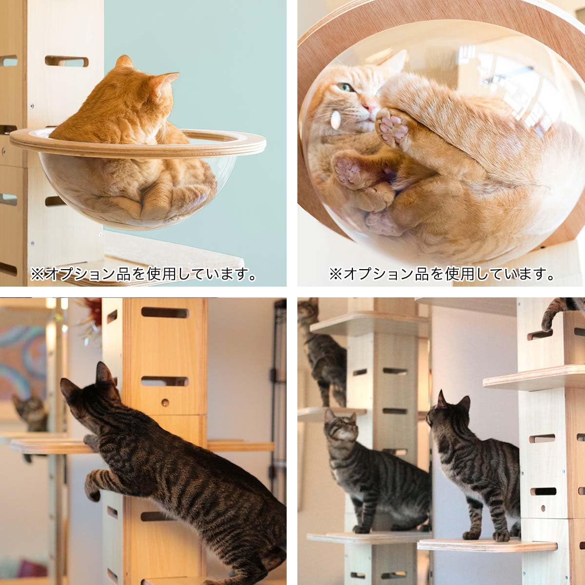 【訳有】　キャットシェルフ スリム　キャティーマン　突っ張り型木製キャットタワー ドギーマン ウッディーキャットシェルフ スリム [猫] / 送料無料