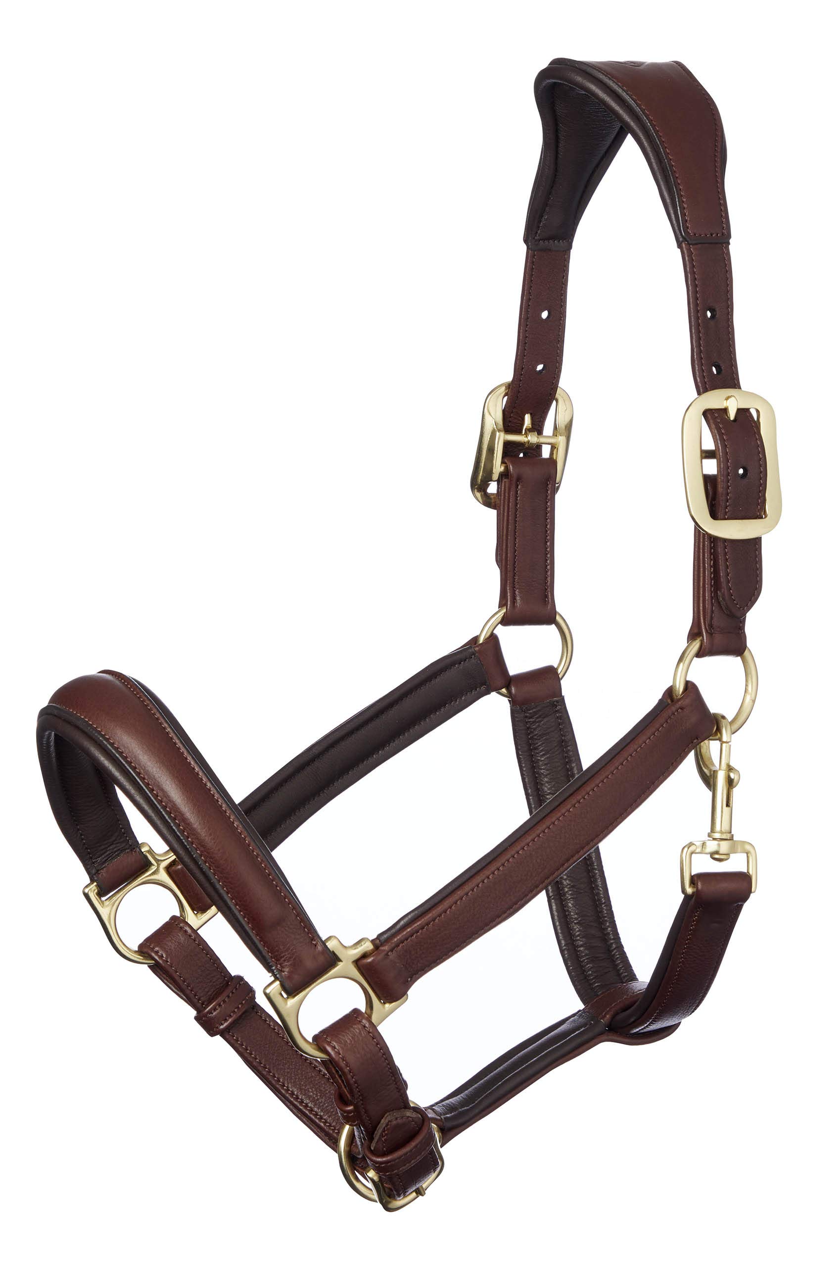 LeMieux Anatomic Headcollar for Horses - Padded Leather & Metal Fittings - Adjustable