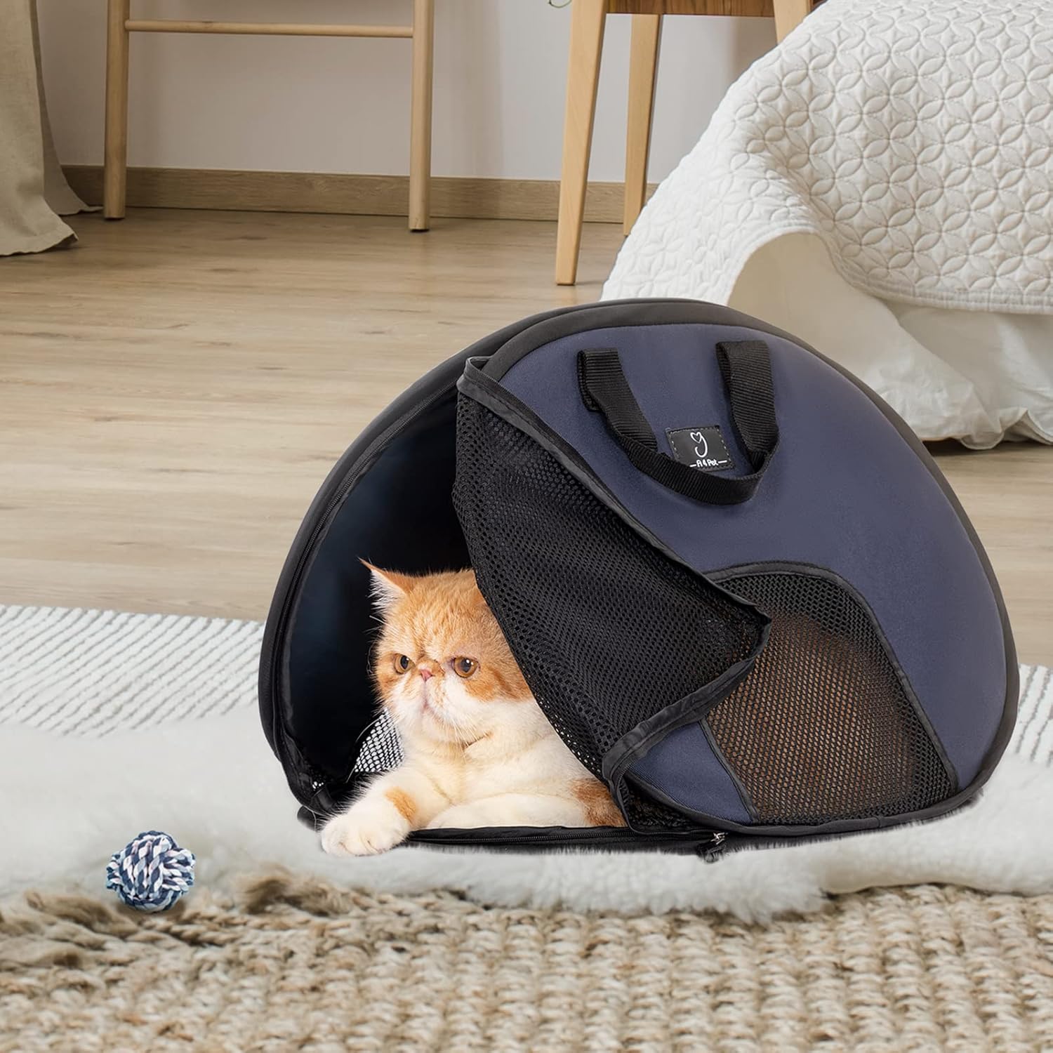 A4Pet Soft Cat Carrier Airline Approved, Collapsible Cat Carrier Bag with Zipper Lock and Breathable Mesh Openings for Car, Indoor & Outdoor Travel Use : Pet Supplies