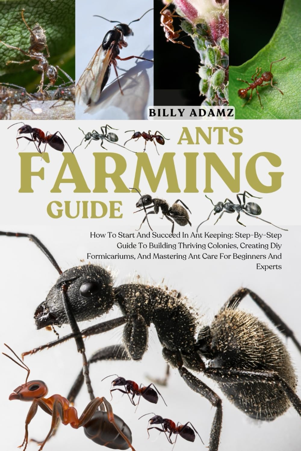 ANTS FARMING GUIDE: How To Start And Succeed In Ant Keeping: Step-By-Step Guide To Building Thriving Colonies, Creating Diy Formicariums, And Mastering Ant Care For Beginners And Experts