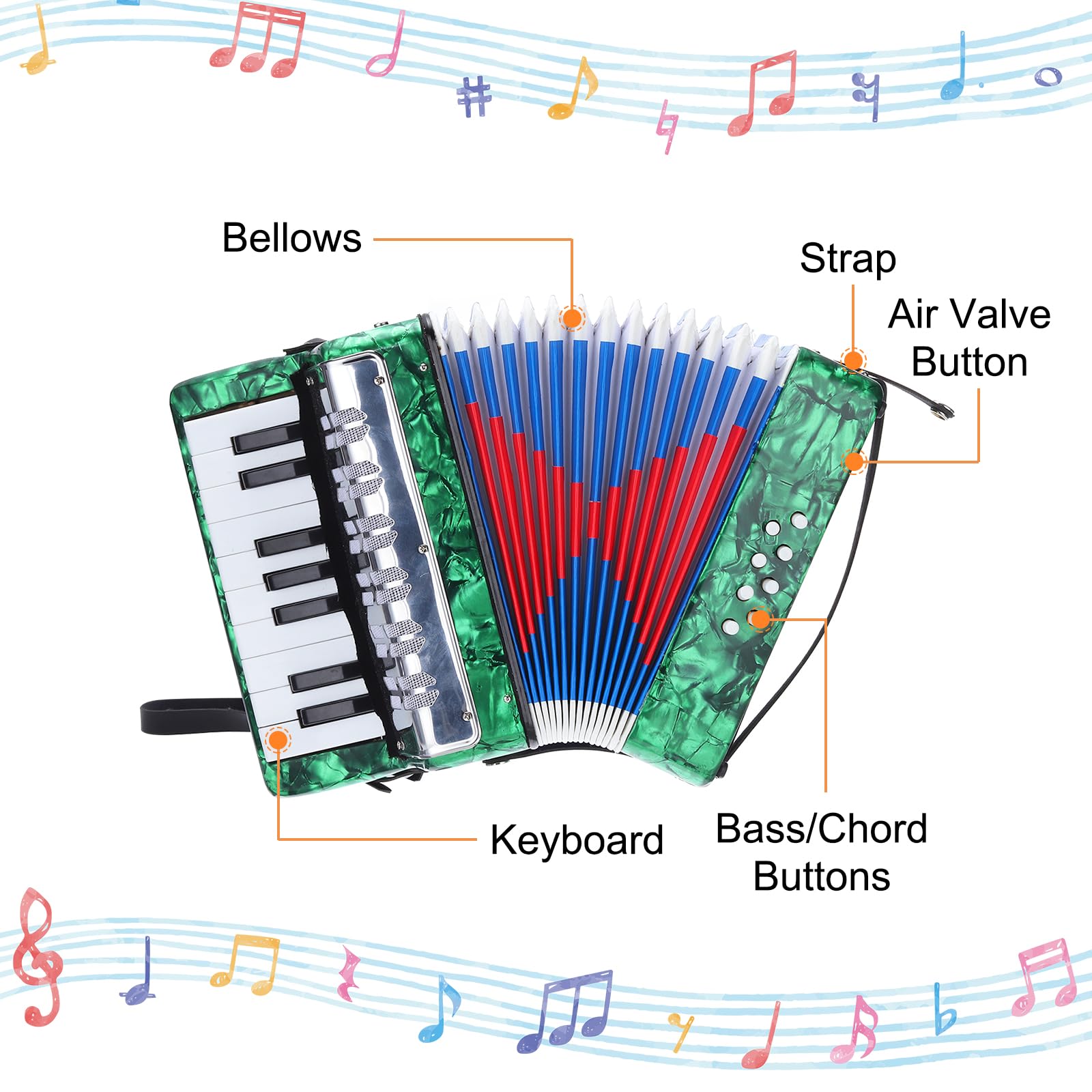 QUARKZMAN Akkordeon, 17 Tasten 8 Bassknopf Ziehharmonika Mini Musikinstrument Leicht für Erwachsene Anfänger Bildung, Grün