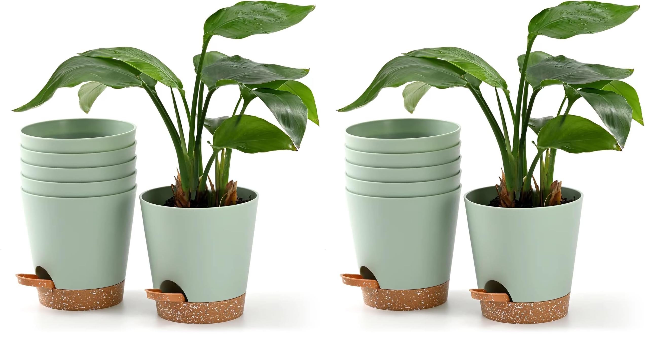 Self Watering Plant Pots - 6 Pack for Indoor & Outdoor -8 Self Watering Plant Pots - 6 Pack for Indoor & Outdoor -8