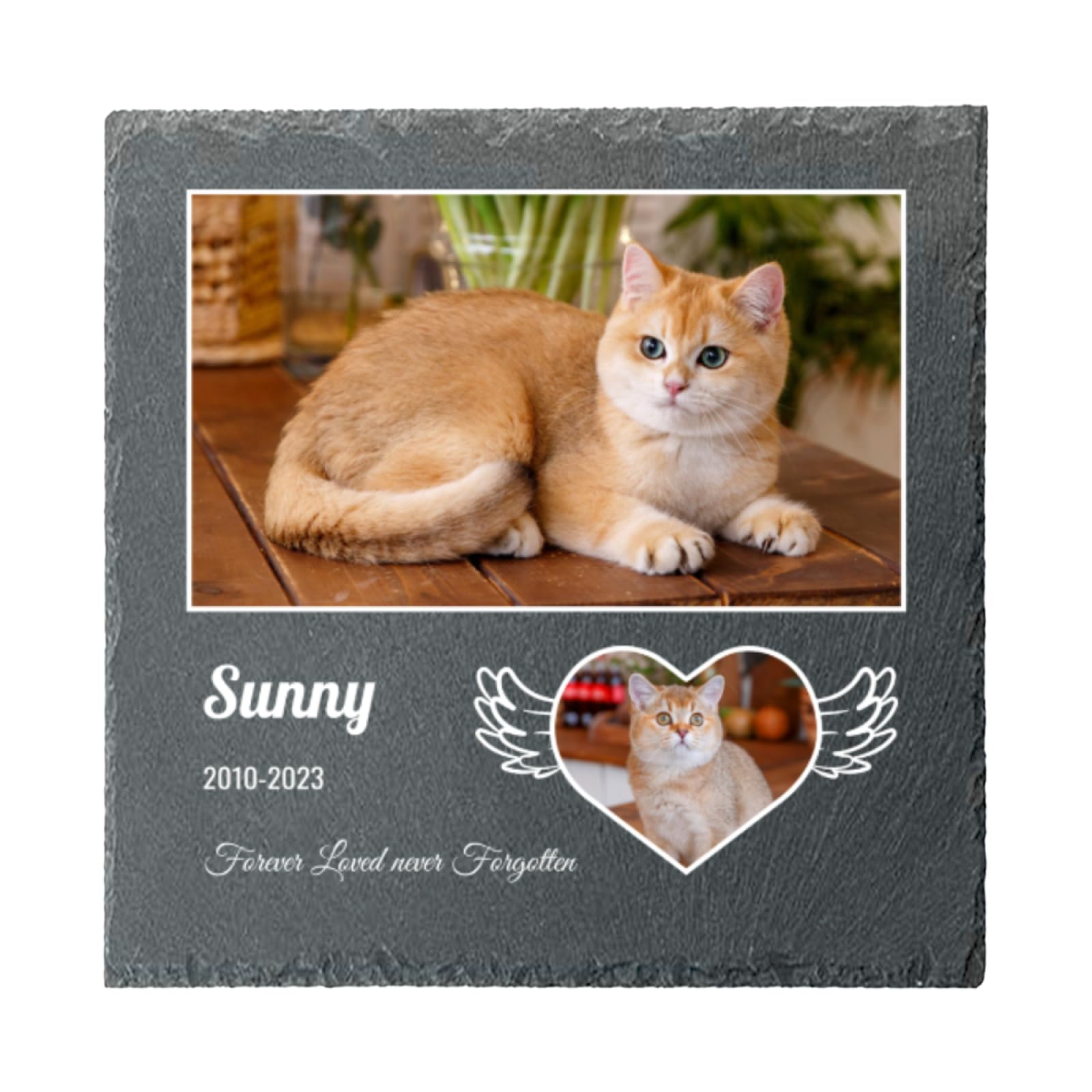 Personalised Pet Dog Cat Memorial Plaque with Photo Name Date, Customised Square Memorial Grave Slate Painting for Garden Indoor Outdoor, Design Remembrance Gifts for Loss Cemetery Decoration, Style 9