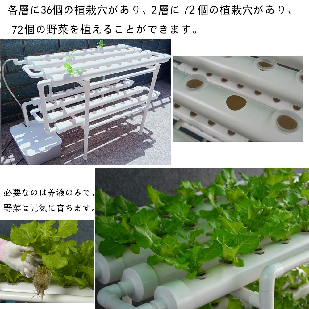 Amazon.co.jp: HCTOOL 水耕栽培キット 野菜 栽培キット すいこう栽培