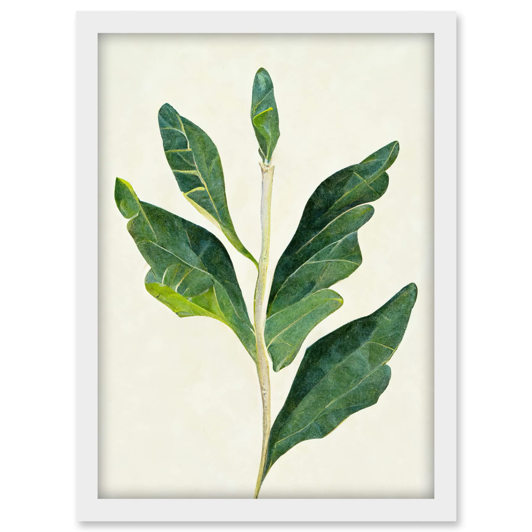 Doppelganger33 LTD Detail Of Rubber Fig Plant Botanical Illustration Artwork Framed A3 Wall Art Print