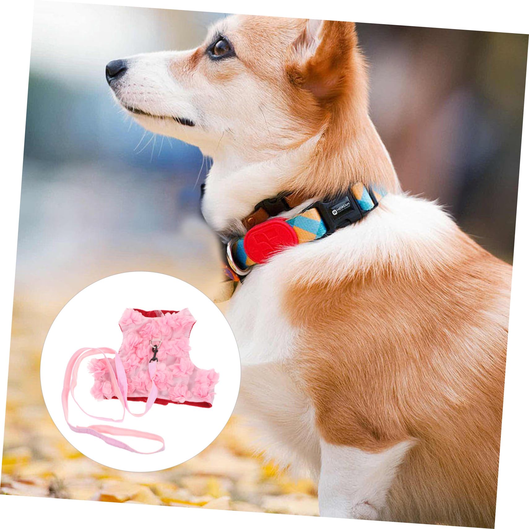 Angoily 3stücke Blumen-hundegeschirr XL Verstellbares Atmungsaktives Brustgeschirr Mit Niedlichem Blumen-Design Für Kleine Und Mittelgroße Hunde Für Frühling Und Sommer Atmungsaktive