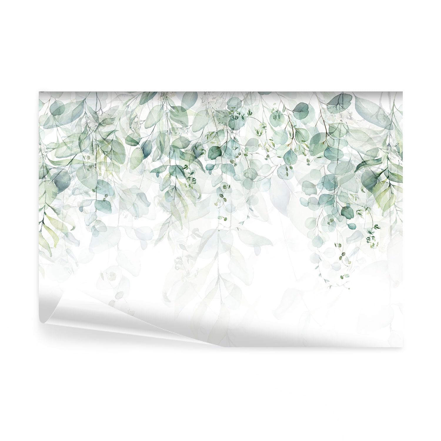 decomonkey Papier Peint Panoramique Plante 350x256 cm : Décoration Murale Moderne – Vaut-il l'investissement ?