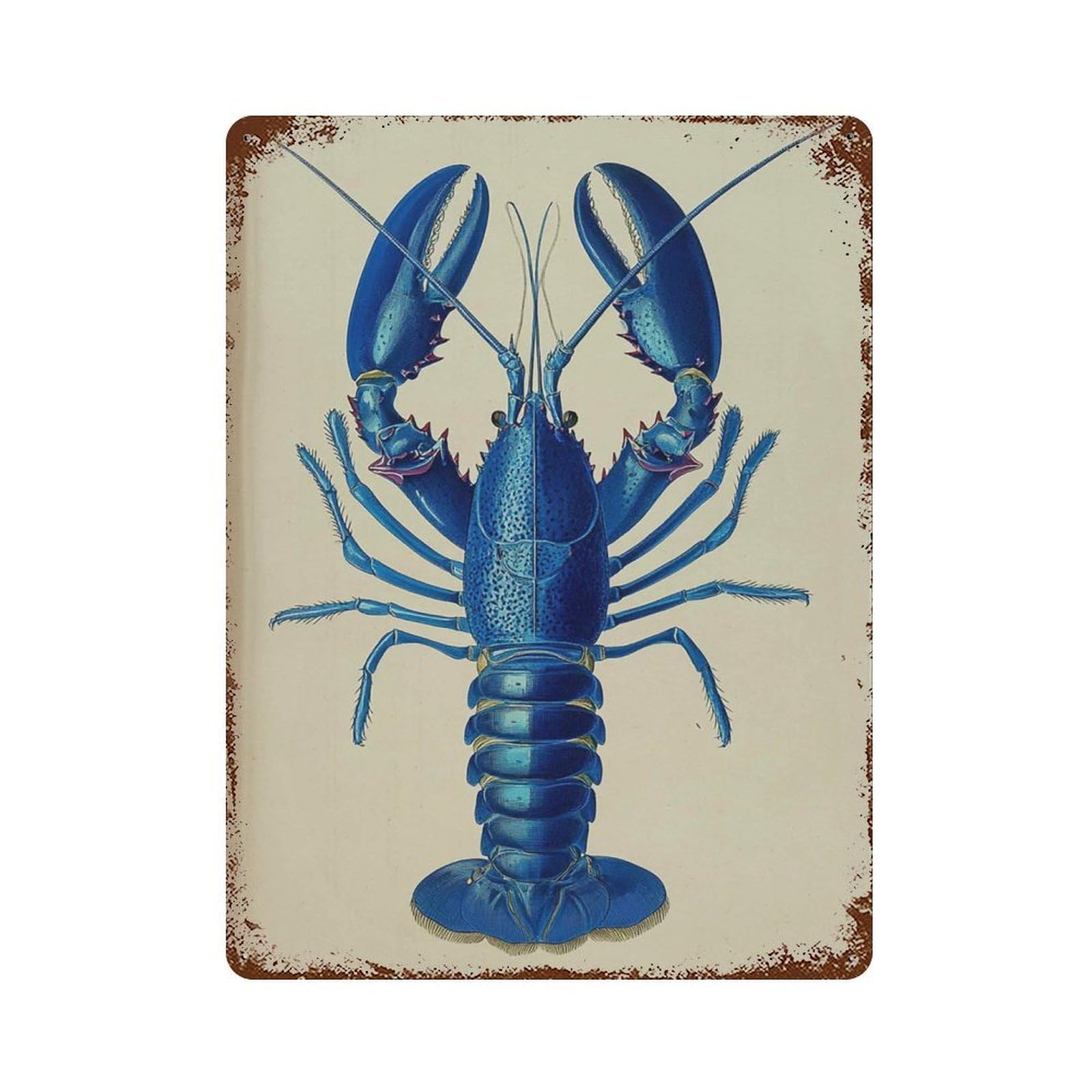 xiaoxiaoshen Blue Lobster Sea Life Coastal Kitchen Nautical Marine Ocean Animal Wall Decor Art Metal Tin Poster Modern Home Decor Art Home Bar Shop Decorations Vintage Sign 40x30cm