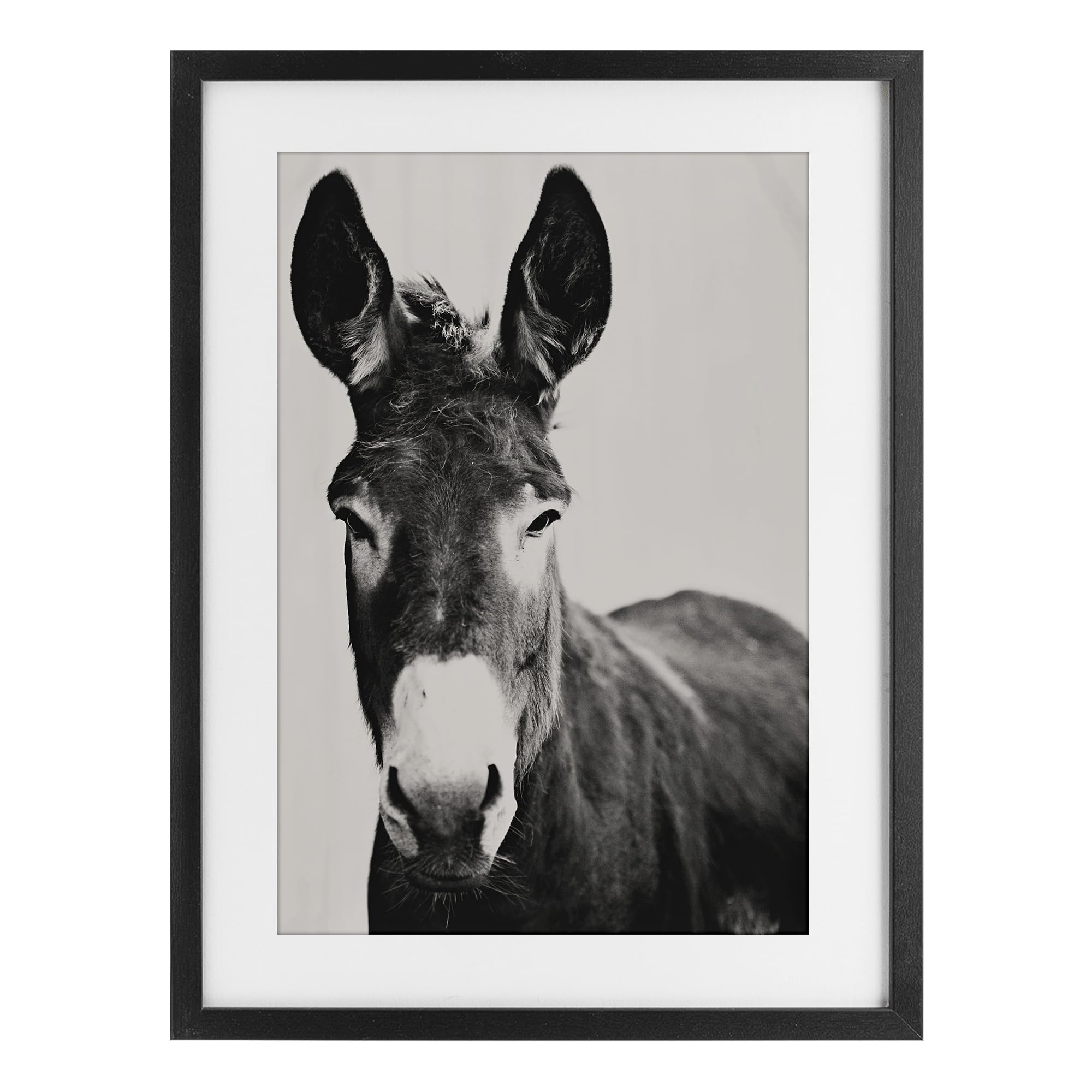Stupell Industries 'Franz the Donkey Portrait', Framed Print Under Glass, Black, 17 x 23 Inches, Easy to Hang and Sturdy, Made in USA, by Amy Carroll