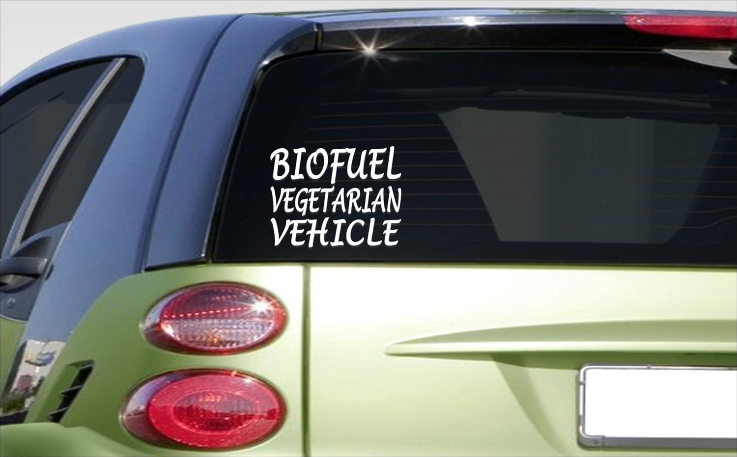 Amazon.com: EZ-STIK biofuel Vegetarian 8