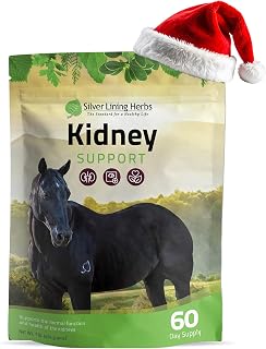 Silver Lining Herbs Kidney Support Supplement for Horses - Horse Supplements for Kidney Health and Bladder Support - Complete with Chamomile, Garlic, Juniper Berry, and More - 1 lb 60-Day Supply