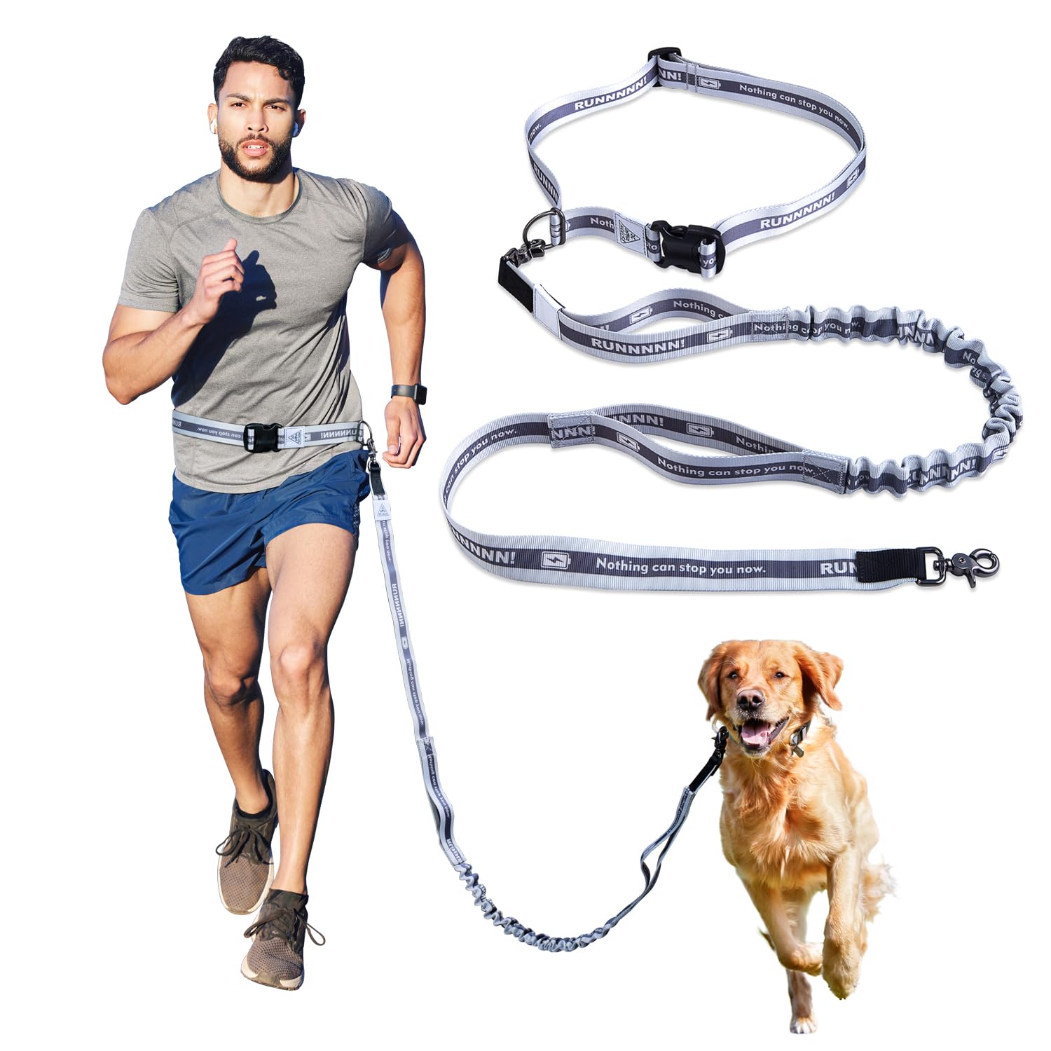 Amazon | JC HOUSE 犬 リード 中型犬 大型犬用 ランニングリード