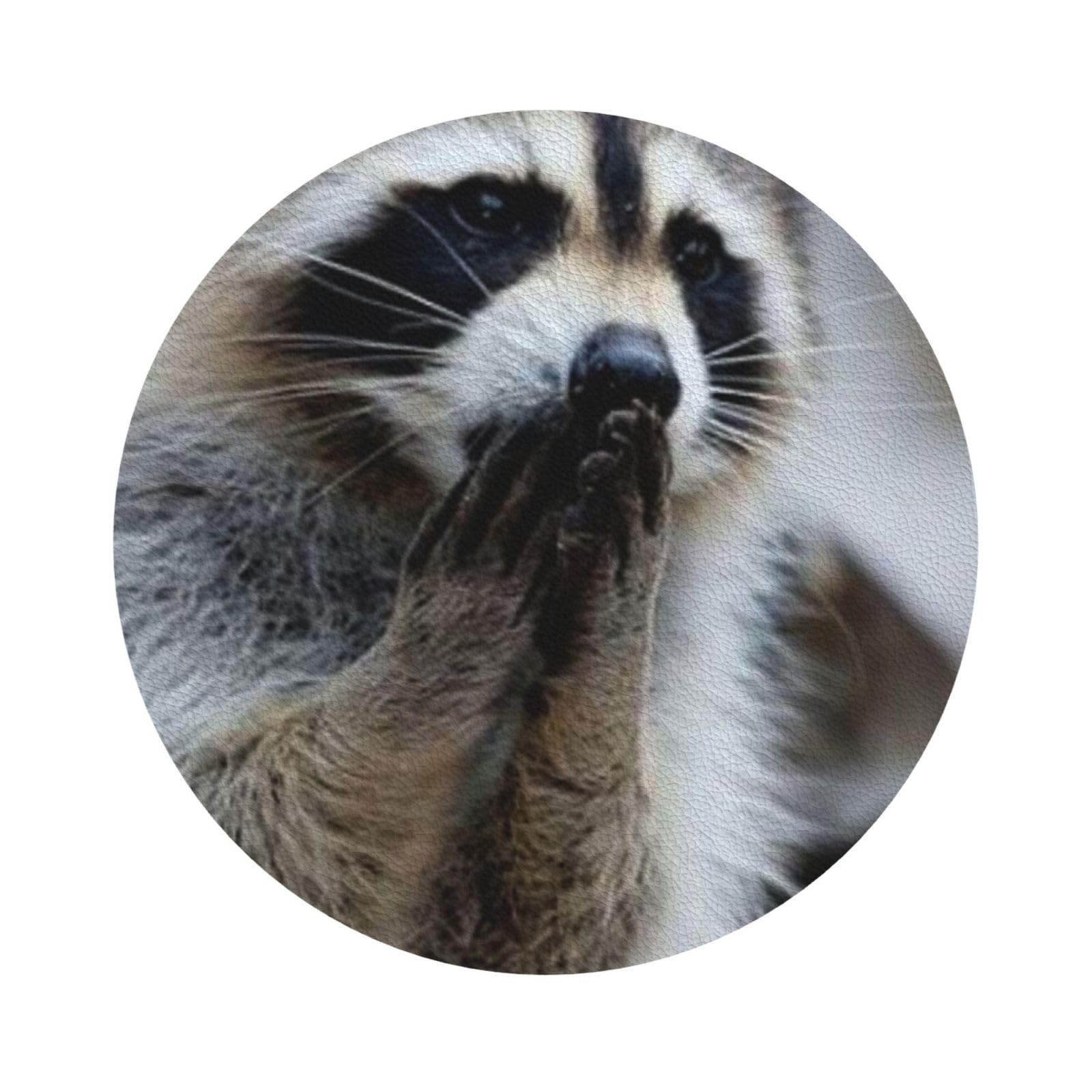 Cute Raccoon PU Leather Coasters Set of 6 Round Drink Coasters
