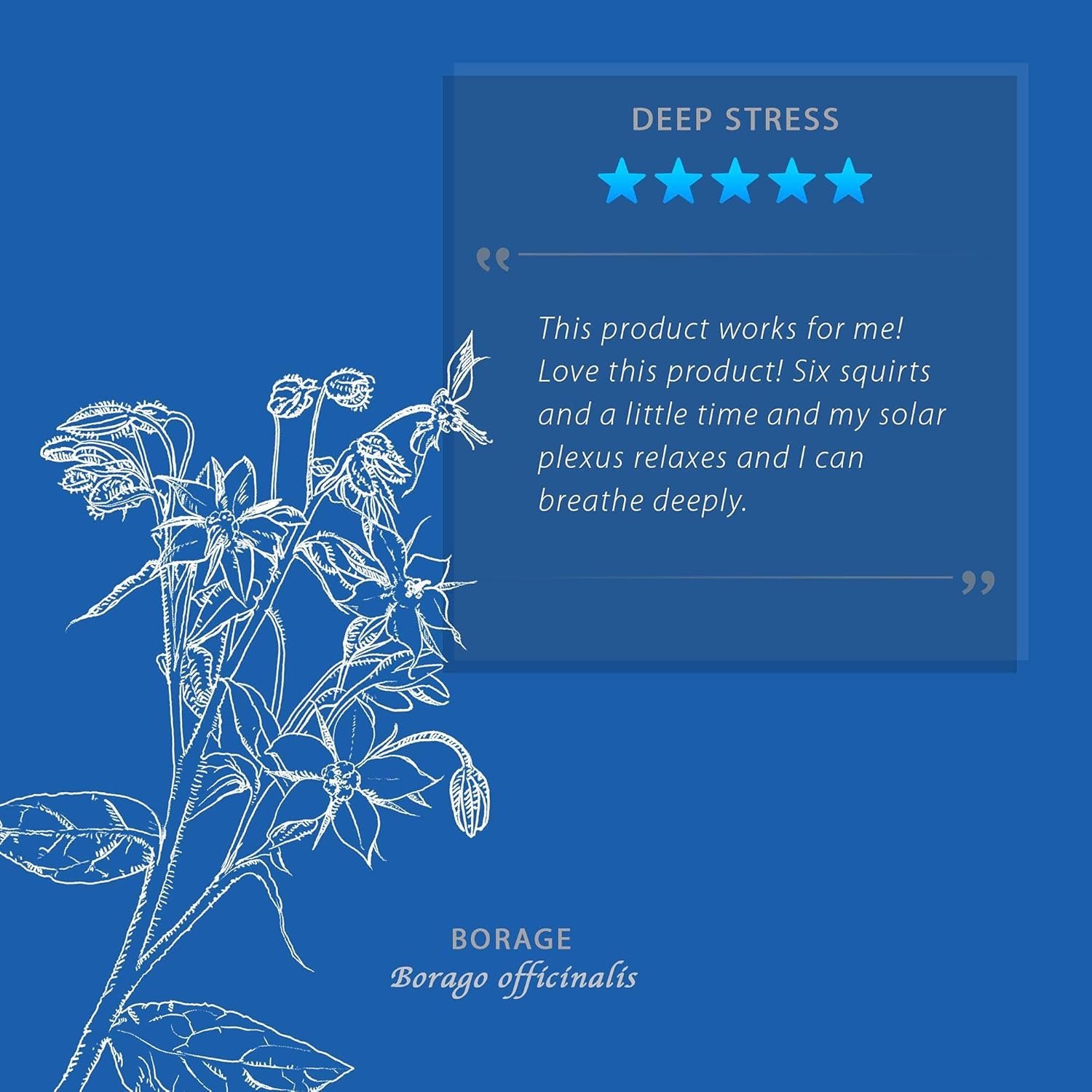 WishGarden Herbs Deep Stress - Herbal Tincture for Stress, Liquid Adrenal Support Drops, Easy to Absorb and Fast Acting Adrenal Support Adaptogen Supplement (4oz) : Health & Household