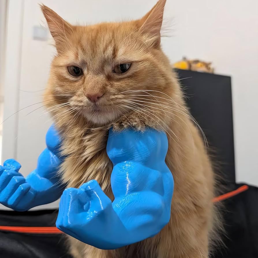 Cat Muscular System Diagram Muscles Lizard Gatos Sparad