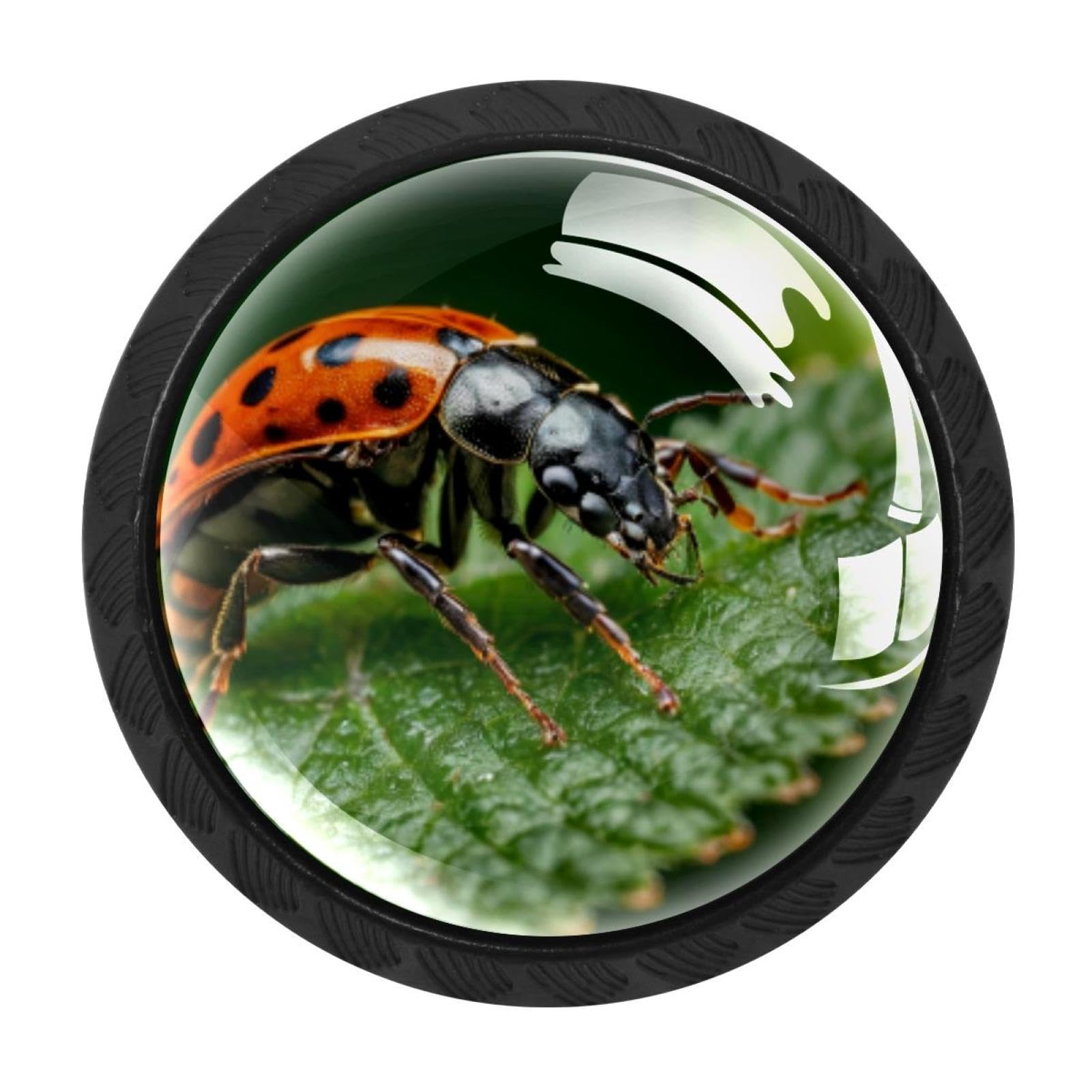CHENZZZZ 4 Pack Black Insects Ladybug Bee Spider Ant (3) Kitchen Handles, Cabinet Pulls Hardware for Cupboard Drawer Knobs Dresser Pulls