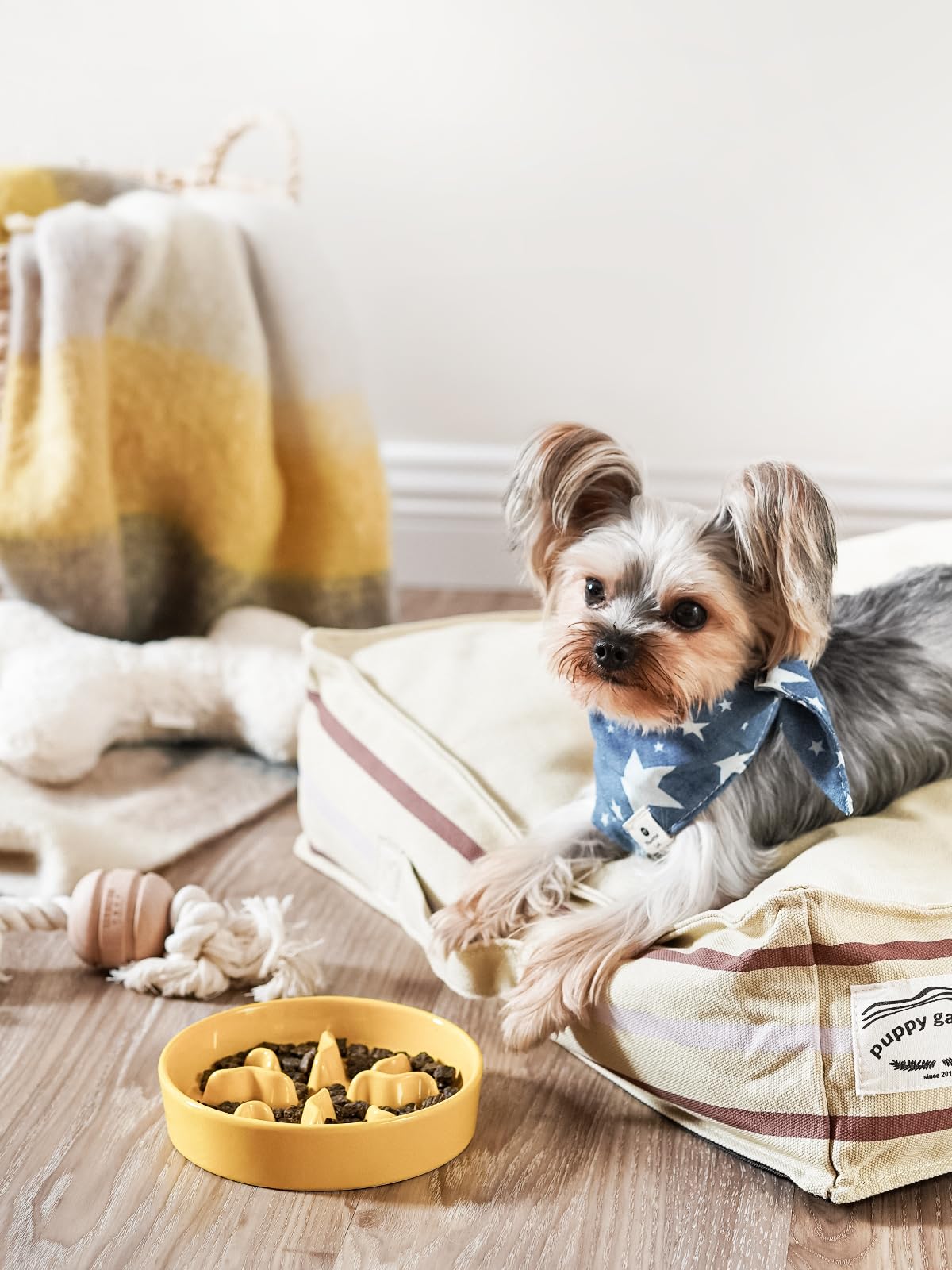 Cuencos de cerámica de alimentación lenta para perros de raza pequeña, plato de comida para perros de 0.5 tazas para comedores rápidos, cuenco de rompecabezas para perros y gatos pequeños, 5.5
