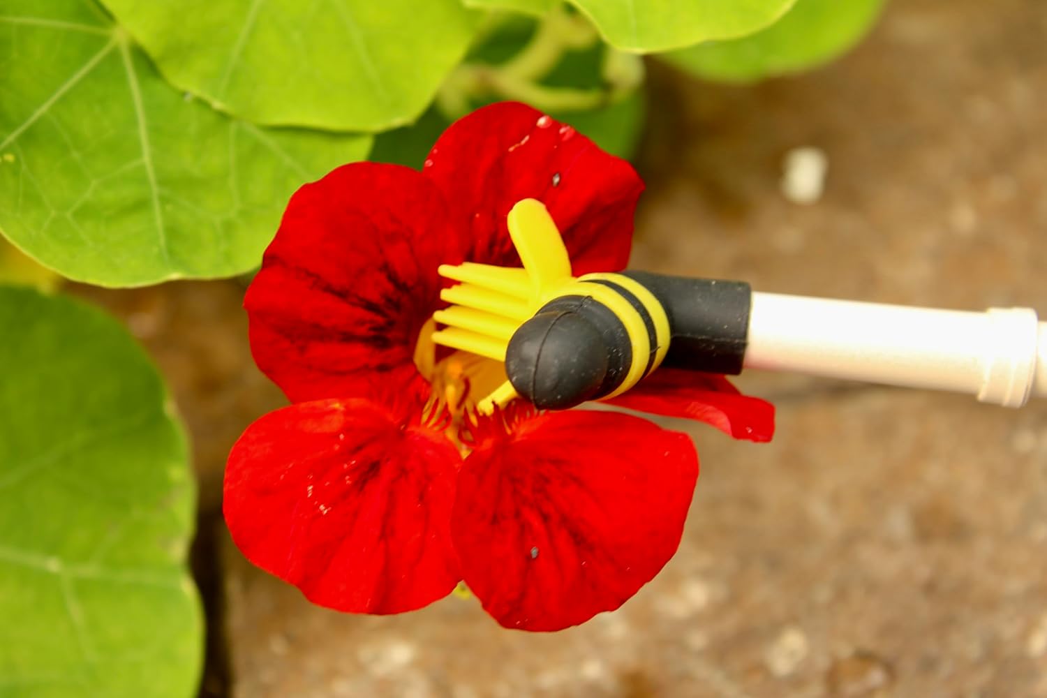 Hand Pollinator + Seeding Square Bundle – Garden Pollination Tool with Seed Spacing Template for Better Plant Growth & Vegetable Production