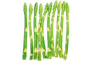 DECHOUS Artificial Asparagus: Realistic Replica for Culinary Displays and Photography