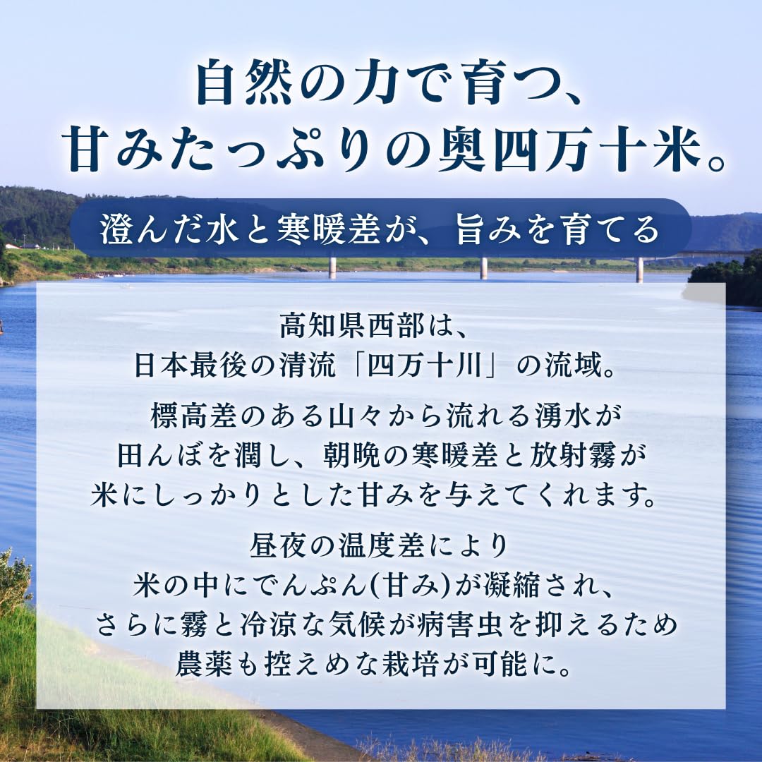 Amazon.co.jp: [精米] 米 令和7年産 新米 5kg お米 高知県産